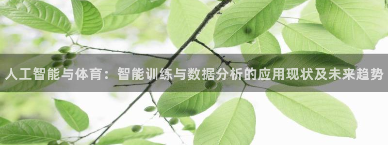 人工智能与体育：智能训练与数据分析的应用现状及未来趋势