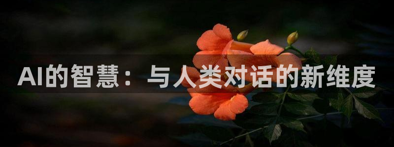 AI的智慧：与人类对话的新维度