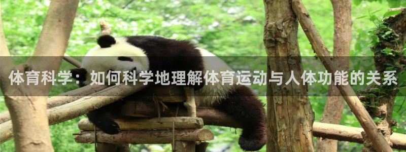体育科学：如何科学地理解体育运动与人体功能的关系