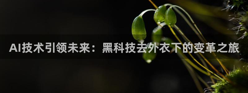 AI技术引领未来：黑科技去外衣下的变革之旅