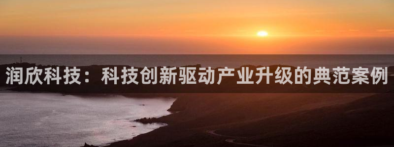 润欣科技：科技创新驱动产业升级的典范案例