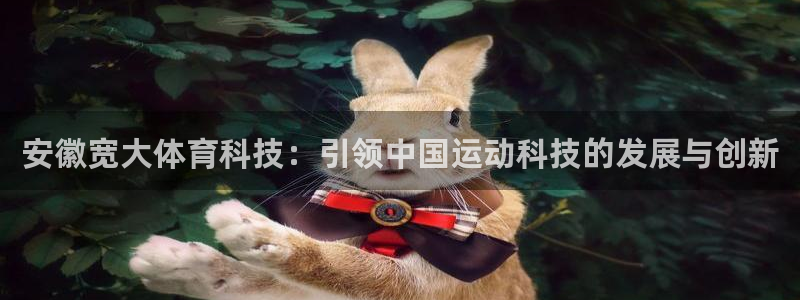 安徽宽大体育科技：引领中国运动科技的发展与创新