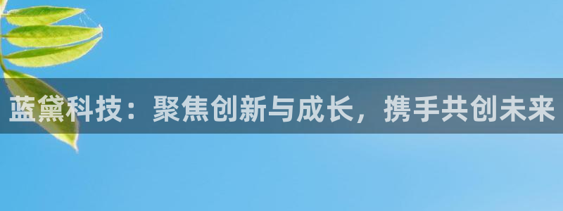 蓝黛科技：聚焦创新与成长，携手共创未来