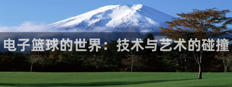 电子篮球的世界：技术与艺术的碰撞